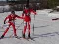 Relay WechselM17 2 M  ller Ehrler 1