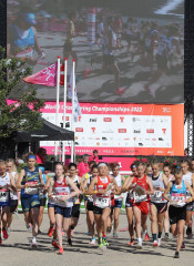 STEI2915 E 220626173600