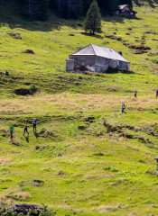 52350709421 0e7acbab7e 5k