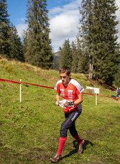 52350727326 16dae879bb k