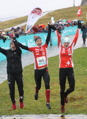 STEI3654 221001154955